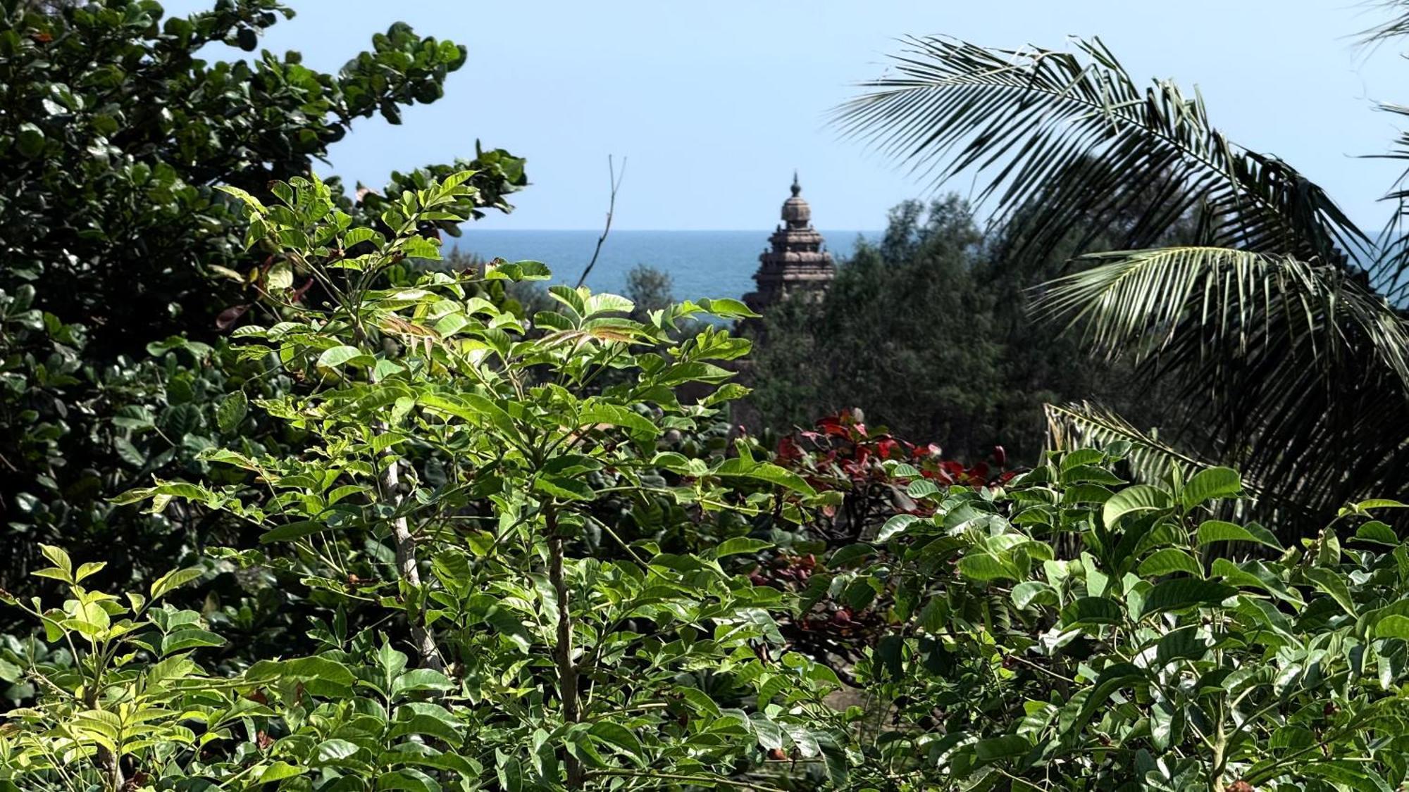 Sri Murugan Beach Paradise Hotel مهاباليبورام المظهر الخارجي الصورة